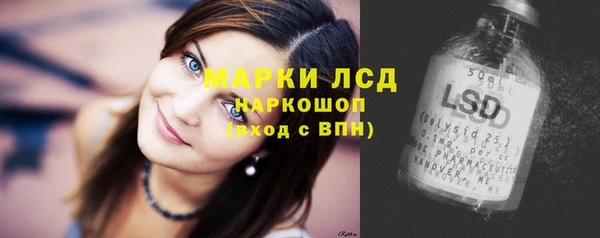 мяу мяу мука Абаза