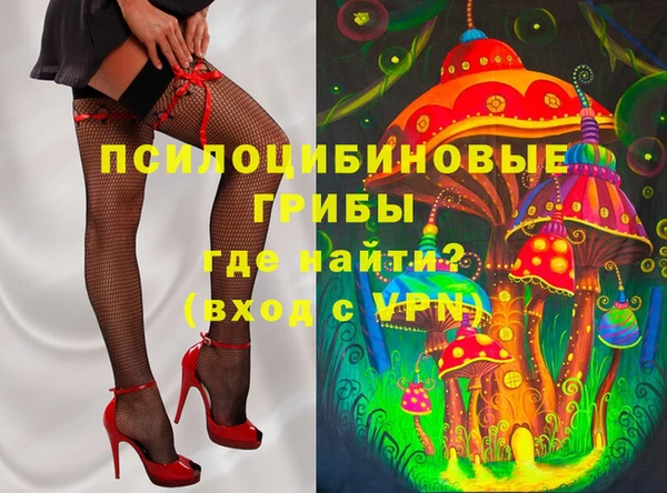 мяу мяу мука Абаза
