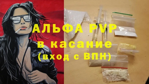 мяу мяу мука Абаза