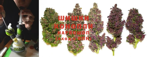 стаф Абдулино
