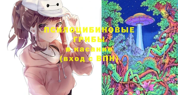 мяу мяу мука Абаза