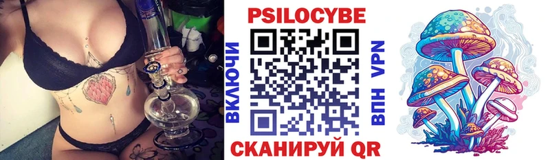 Галлюциногенные грибы Psilocybe  Терек 